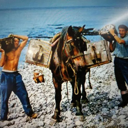 Les Embruns Apartment Fécamp