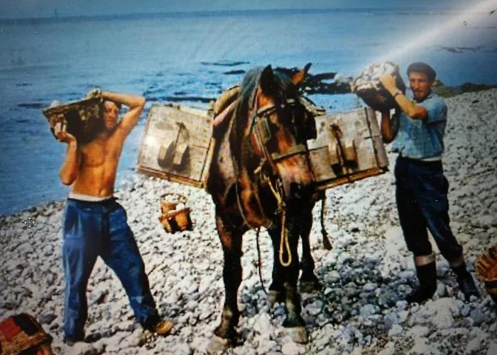 Les Embruns Apartment Fecamp